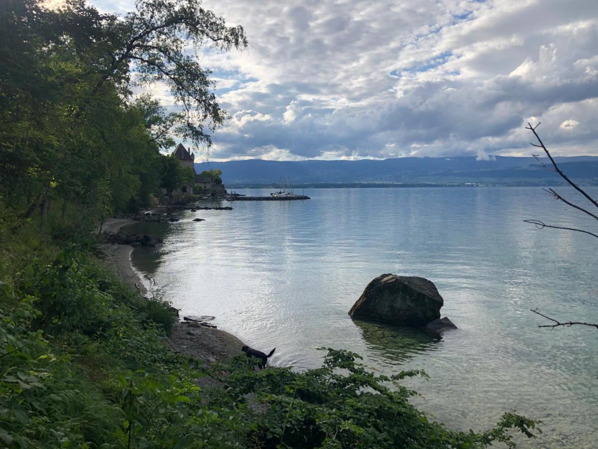 A Room With A View - Maisonnette Dans Bourg Medieval Au Bord Du Lac Leman อีวัวค์ ภายนอก รูปภาพ